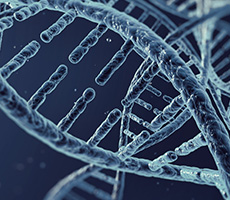 GFP/RFP轉(zhuǎn)染實(shí)驗(yàn)利器！