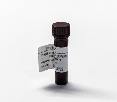 細(xì)胞計(jì)數(shù)用臺盼藍(lán)染料or AOPI熒光染料？