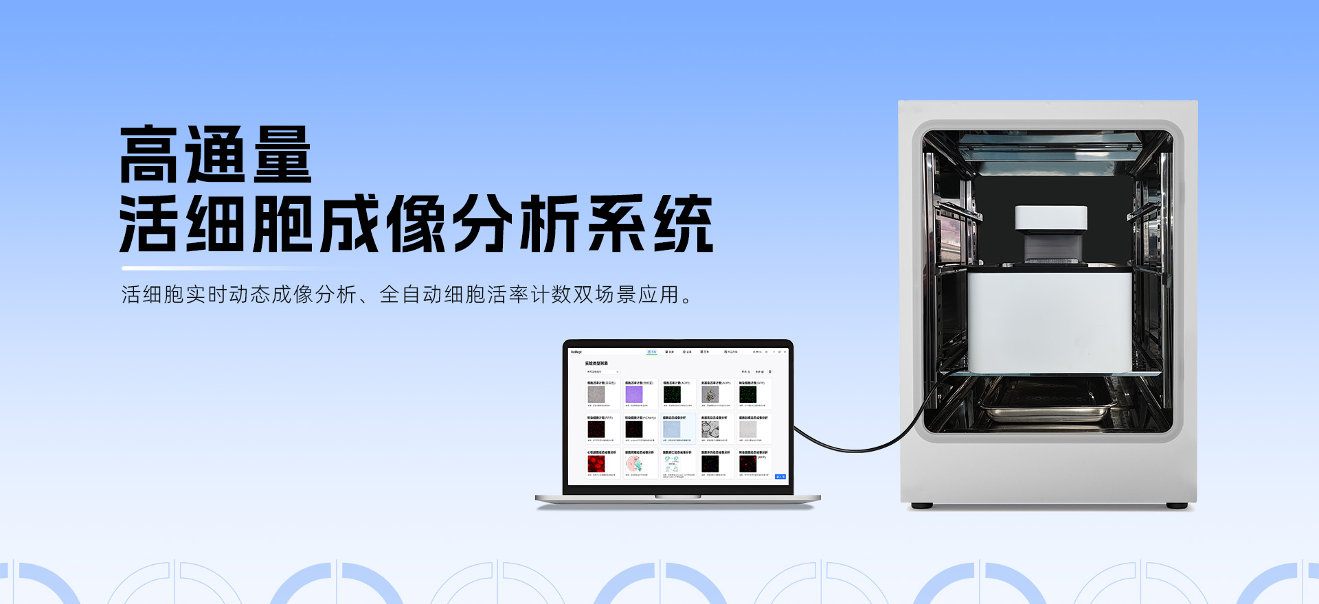 突破細(xì)胞殺傷實驗瓶頸！高通量活細(xì)胞成像分析系統(tǒng)的應(yīng)用